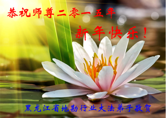 Image for article Falun Dafa Practitioners from Various Professions Respectfully Wish Master Li Hongzhi a Happy New Year (35 Greetings)