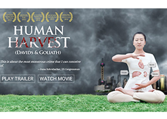 Image for article Film “Human Harvest” Wins Prestigious Peabody Award